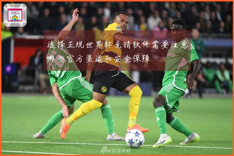 选择正规世界杯竞猜软件需要注意哪些官方渠道和安全保障