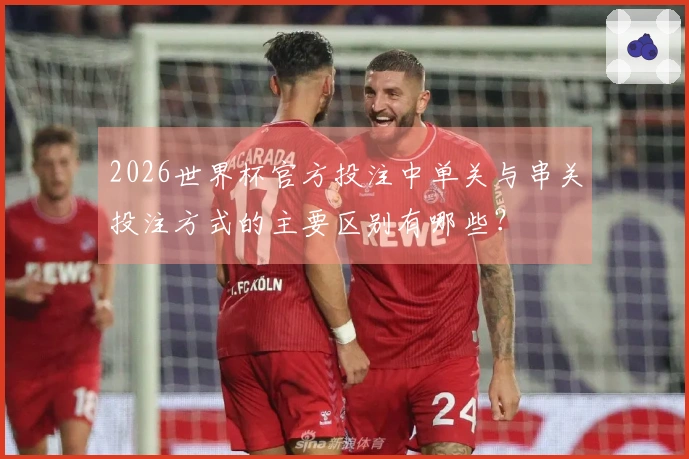 2026世界杯官方投注中单关与串关投注方式的主要区别有哪些？