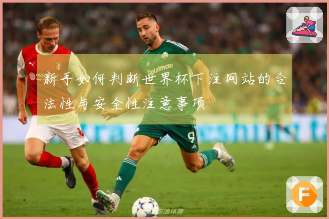 新手如何判断世界杯下注网站的合法性与安全性注意事项
