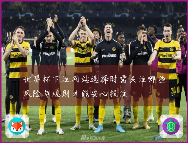 世界杯下注网站选择时需关注哪些风险与规则才能安心投注
