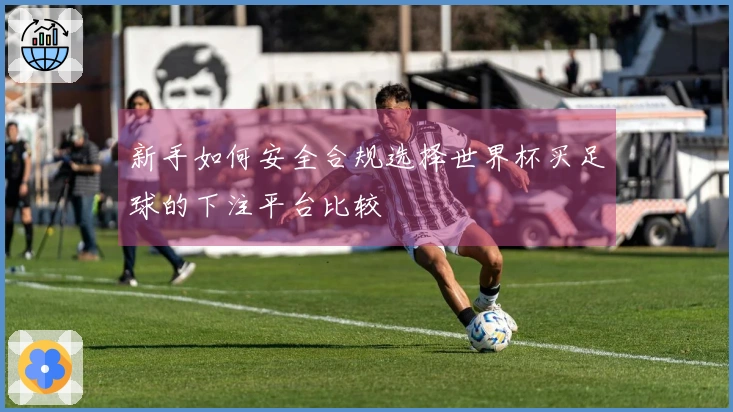 新手如何安全合规选择世界杯买足球的下注平台比较