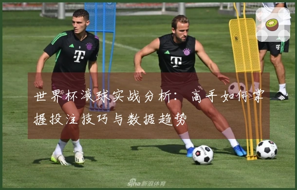 世界杯滚球实战分析：高手如何掌握投注技巧与数据趋势