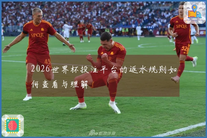 2026世界杯投注平台的返水规则如何查看与理解