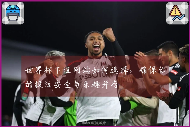 世界杯下注网站如何选择，确保你的投注安全与乐趣并存