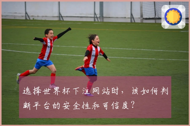 选择世界杯下注网站时，该如何判断平台的安全性和可信度？
