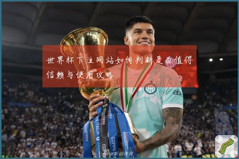 世界杯下注网站如何判断是否值得信赖与使用攻略
