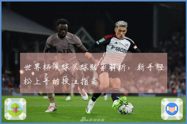 世界杯滚球买球赔率解析，新手轻松上手的投注指南