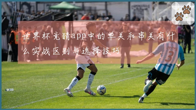 世界杯竞猜app中的单关和串关有什么实战区别与选择技巧