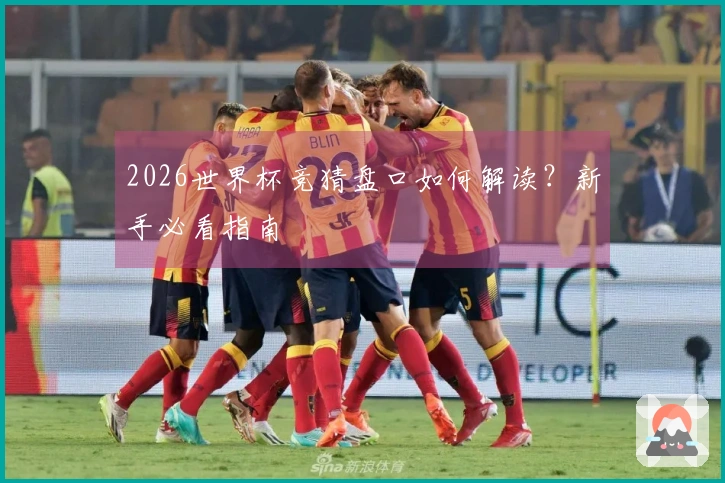 2026世界杯竞猜盘口如何解读？新手必看指南