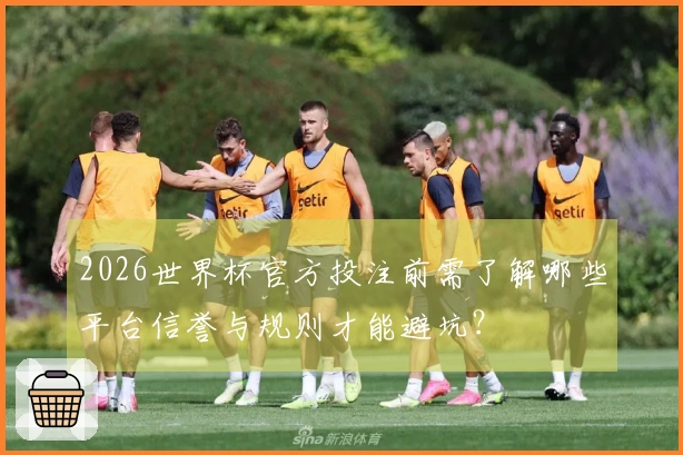 2026世界杯官方投注前需了解哪些平台信誉与规则才能避坑？