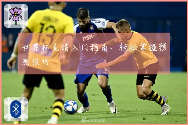 世界杯竞猜入门指南，轻松掌握预测技巧