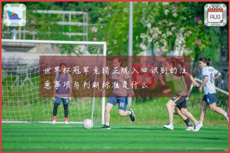 世界杯冠军竞猜正规入口识别的注意事项与判断标准是什么