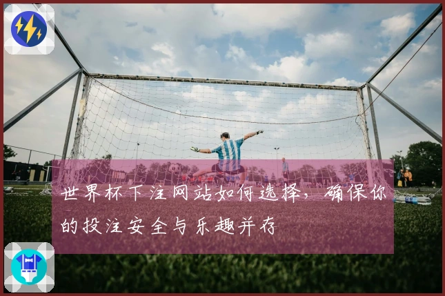 世界杯下注网站如何选择，确保你的投注安全与乐趣并存