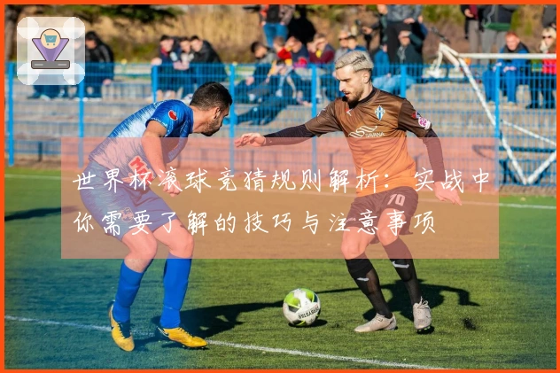 世界杯滚球竞猜规则解析：实战中你需要了解的技巧与注意事项