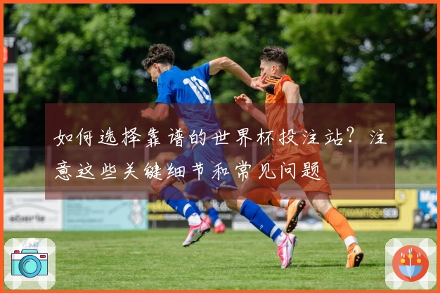 如何选择靠谱的世界杯投注站？注意这些关键细节和常见问题