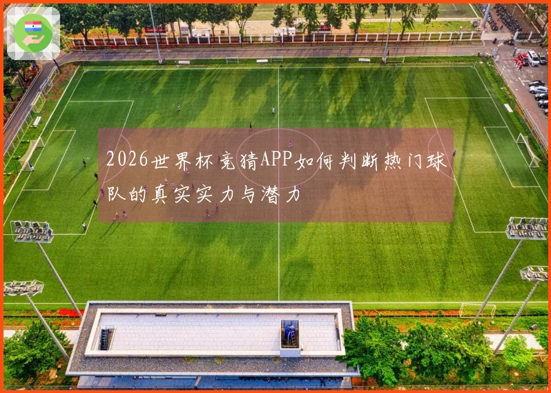 2026世界杯竞猜APP如何判断热门球队的真实实力与潜力
