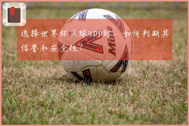 选择世界杯买球app时，如何判断其信誉和安全性？