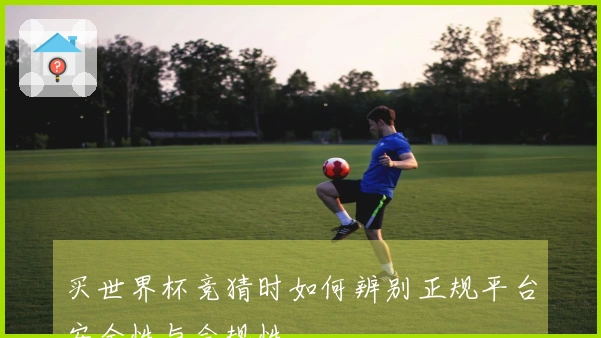 买世界杯竞猜时如何辨别正规平台安全性与合规性
