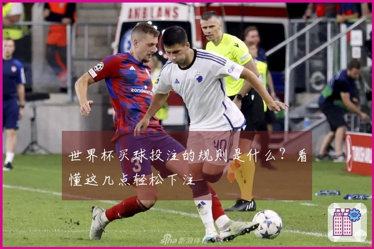 世界杯买球投注的规则是什么？看懂这几点轻松下注
