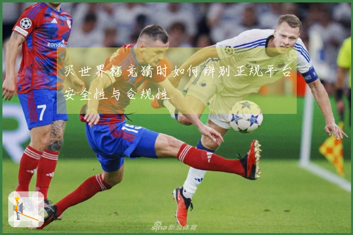 买世界杯竞猜时如何辨别正规平台安全性与合规性