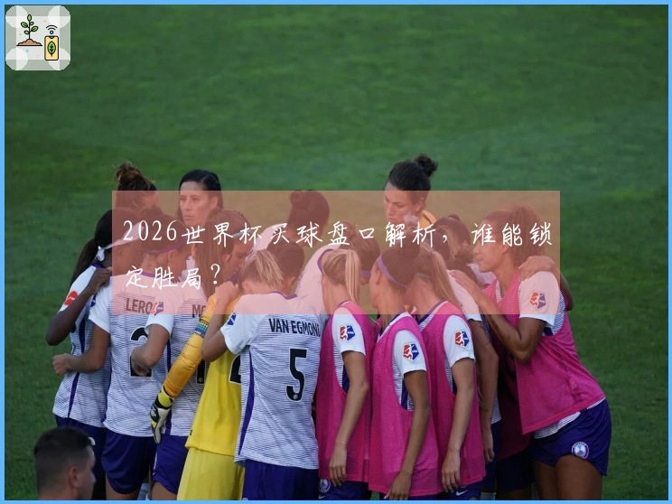 2026世界杯买球盘口解析，谁能锁定胜局？