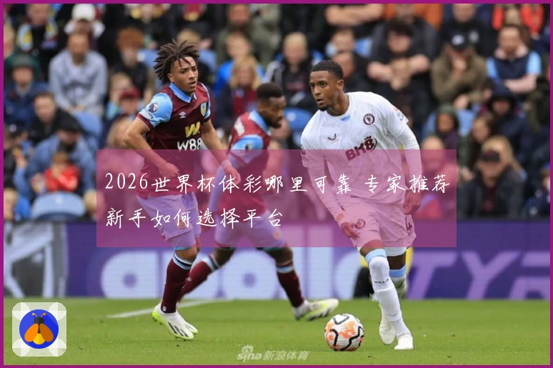 2026世界杯体彩哪里可靠 专家推荐新手如何选择平台