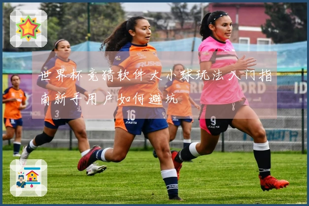 世界杯竞猜软件大小球玩法入门指南新手用户如何避坑