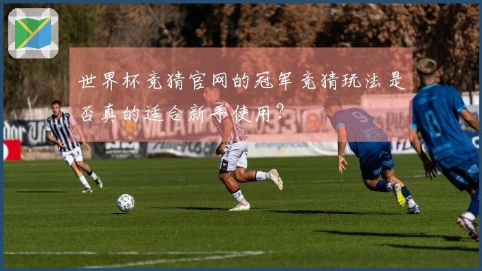 世界杯竞猜官网的冠军竞猜玩法是否真的适合新手使用？