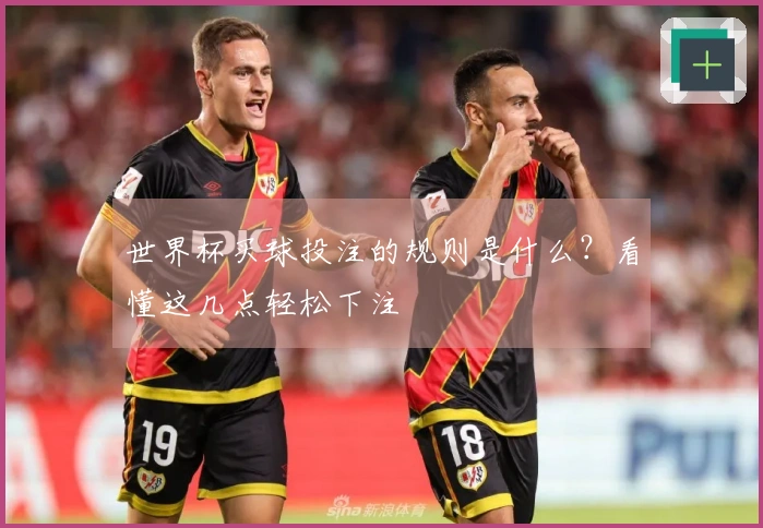 世界杯买球投注的规则是什么？看懂这几点轻松下注