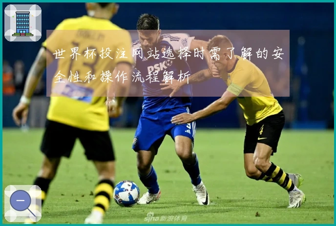 世界杯投注网站选择时需了解的安全性和操作流程解析