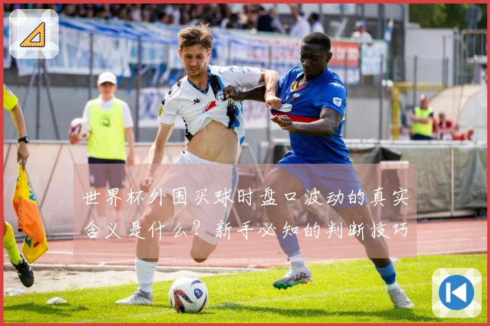 世界杯外围买球时盘口波动的真实含义是什么？新手必知的判断技巧和注意事项