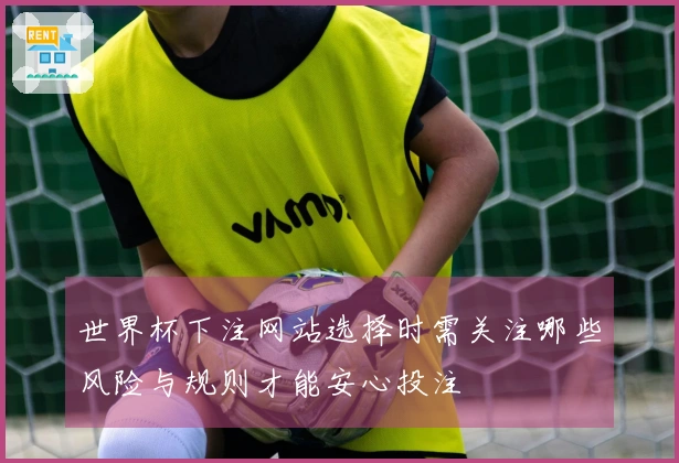 世界杯下注网站选择时需关注哪些风险与规则才能安心投注