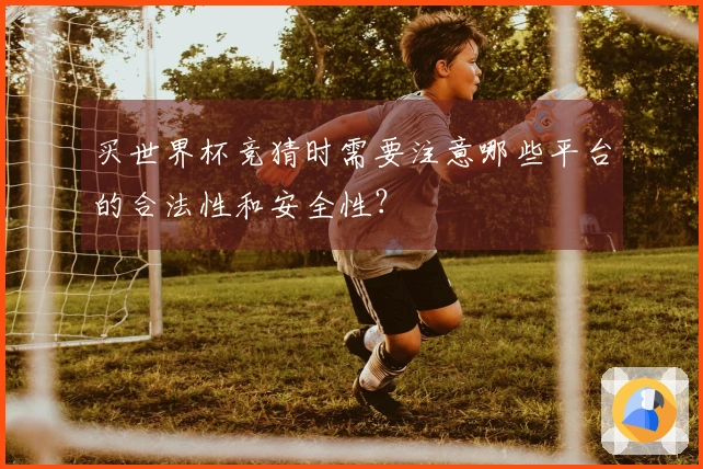 买世界杯竞猜时需要注意哪些平台的合法性和安全性？