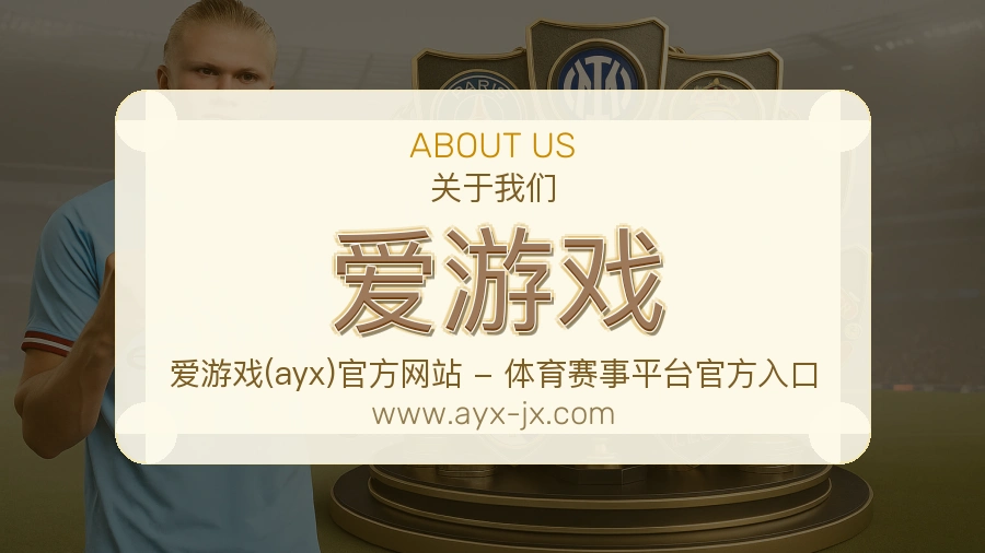爱游戏服务理念介绍
